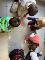 whatsapp image 2026-01-26 at 17.25.14 2